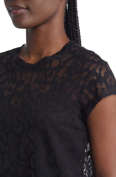 Shop Allsaints Anna Devore Zori Leopard Burnout T-shirt In Black