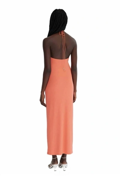 Shop Significant Other Hallie Dress In Watermelon In Pink