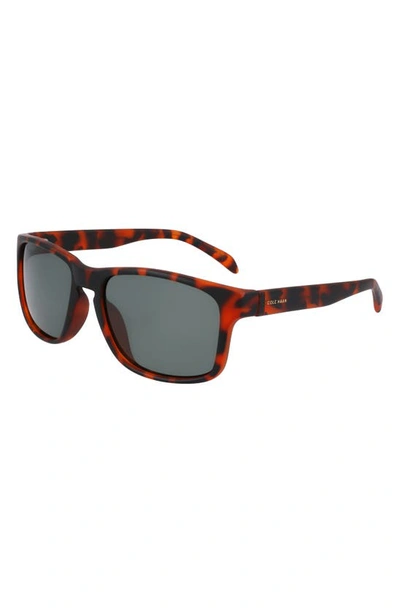 Shop Cole Haan 57mm Squared Polarized Sunglasses In Tortoise