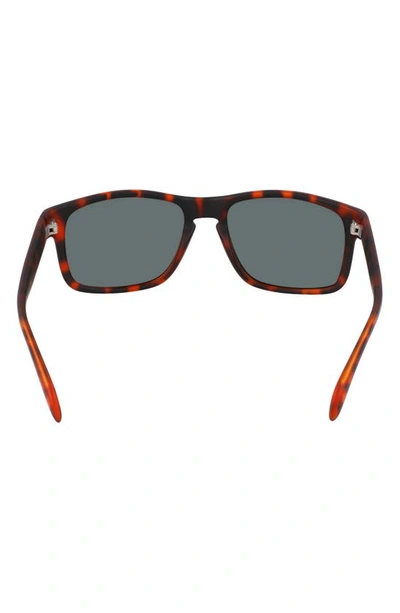 Shop Cole Haan 57mm Squared Polarized Sunglasses In Tortoise