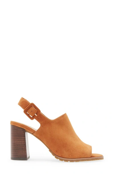 Shop Pelle Moda Ode Slingback Sandal In Cognac