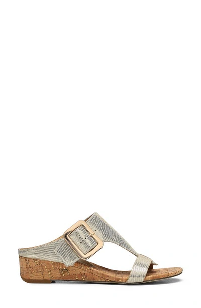 Donald Pliner Vine Buckled Wedge Sandal In Platino