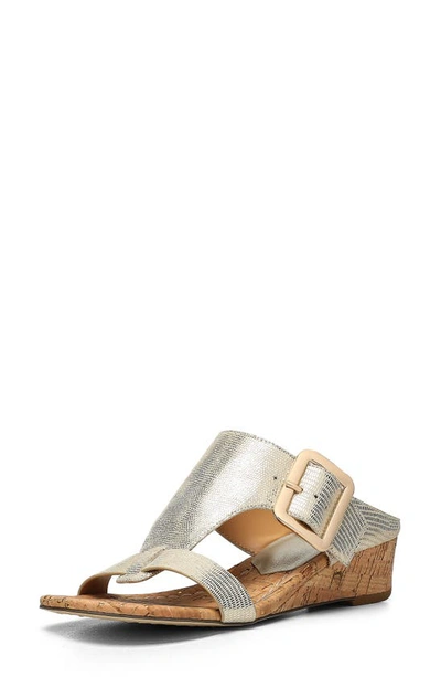 Shop Donald Pliner Vine Buckled Wedge Sandal In Platino