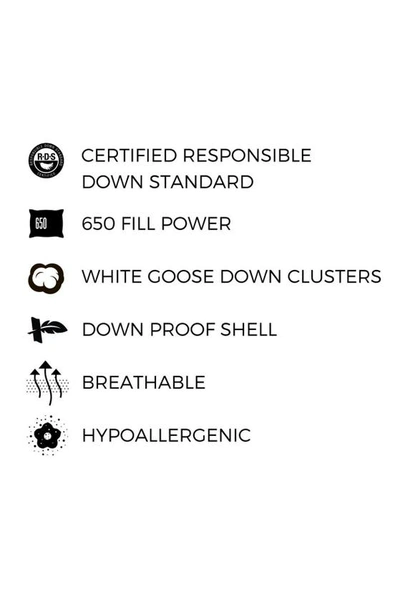 Pg Goods Pillow Guy White Goose Down Firm Density Side/back Sleeper Pillow With 100% Certified Rds Down, And In White With Navy/teal Cord