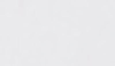 Ella Jayne Home Signature Plush Allergy Resistant Down Like Fiber Standard Pillow In White