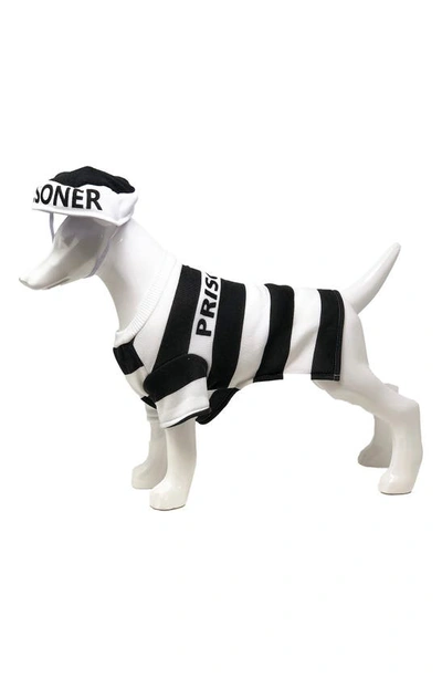 Shop Pet Life The  Striped Retro Inmate Prisoner Pet Costume In Black / White