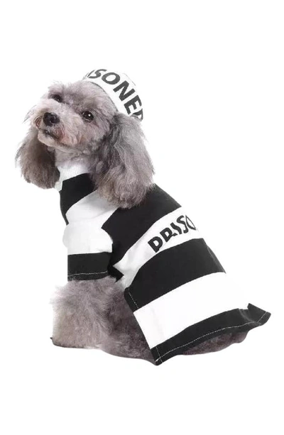 Shop Pet Life The  Striped Retro Inmate Prisoner Pet Costume In Black / White