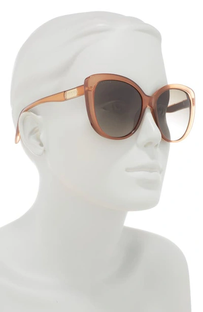 Shop Gucci 57mm Cat Eye Sunglasses In Brown