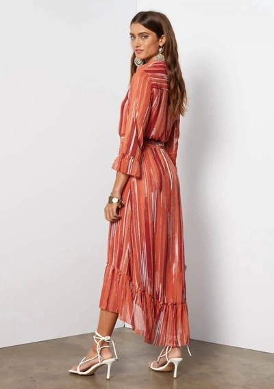 Shop Tart Collections Wren Maxi Dress In Rust In Pink