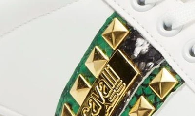 Shop Roberto Cavalli Snake Embossed Pyramid Stud Tennis Shoe In White