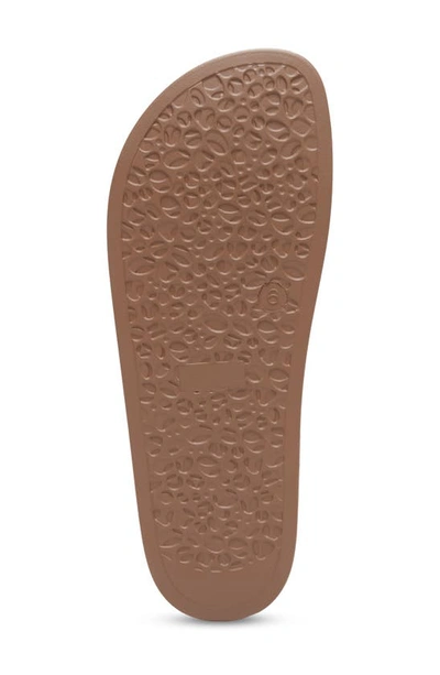 Eastland Samantha Slide Sandal In Tan
