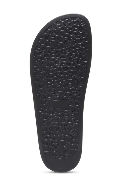 Eastland Samantha Slide Sandal In Black