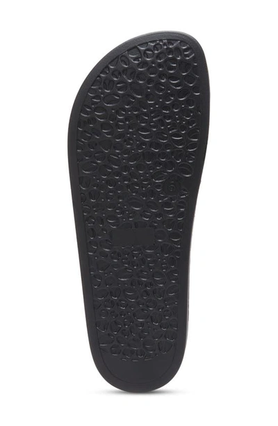 Shop Eastland Savannah Toe Loop Slide Sandal In Black