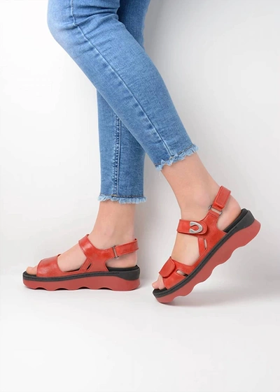 Shop Wolky Medusa Low Sandal With Velcro Closures In Red
