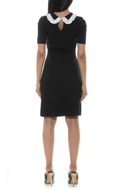 Shop Alexia Admor Kacey Collar Fit & Flare Dress In Black