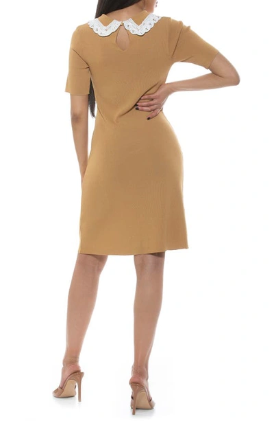 Shop Alexia Admor Kacey Collar Fit & Flare Dress In Camel