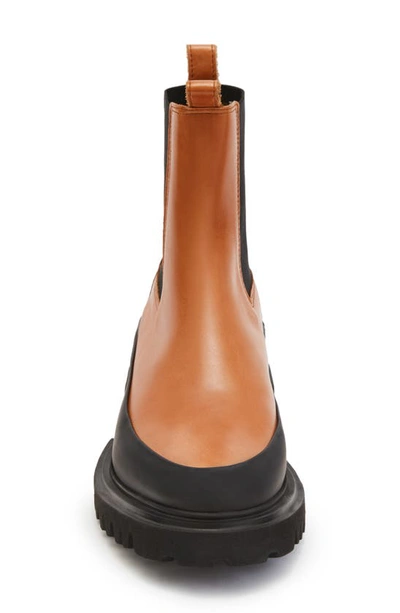 Allsaints Harlee Chelsea Boot In Tan Brown