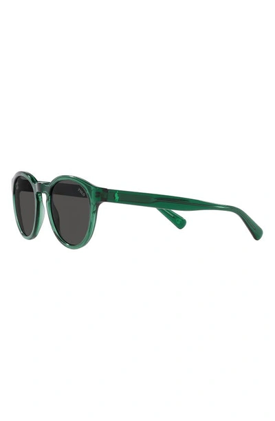 Shop Polo Ralph Lauren 51mm Round Sunglasses In Green