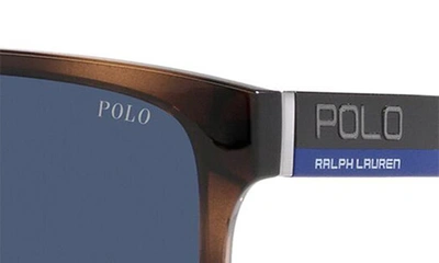 Shop Polo Ralph Lauren 57mm Rectangular Sunglasses In Havana
