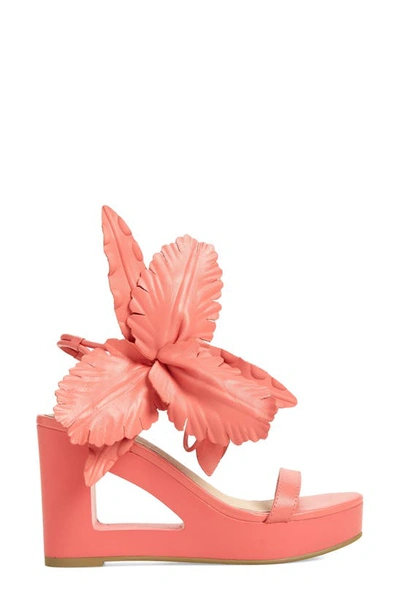 Shop Cecelia New York Lily Cutout Wedge Sandal In Sherbet