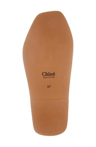 Chloé Woody Flat Logo Ribbon Slide Sandals In Black