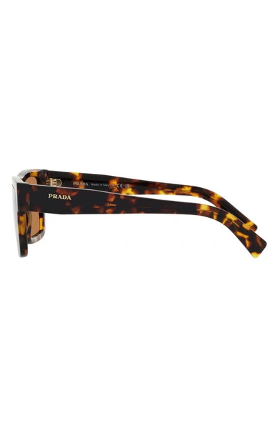 Shop Prada 52mm Rectangular Sunglasses In Brown