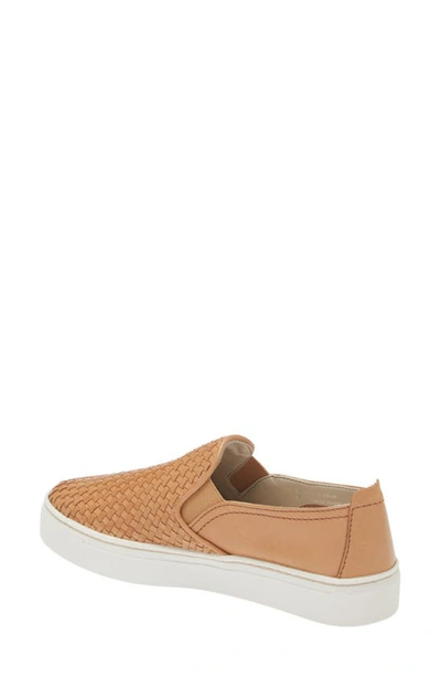 The Flexx 'sneak Name' Sneaker In Lion