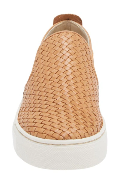 The Flexx 'sneak Name' Sneaker In Lion