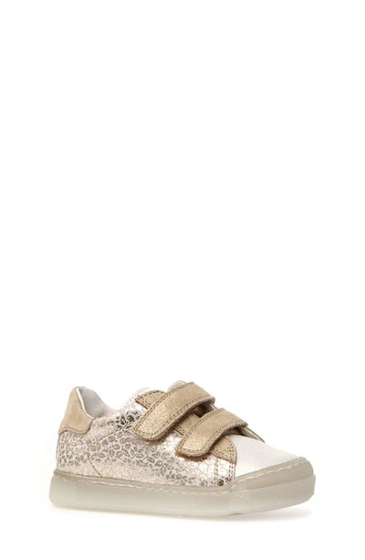 Naturino Kids Eindhoven Sneaker In White platinum ModeSens