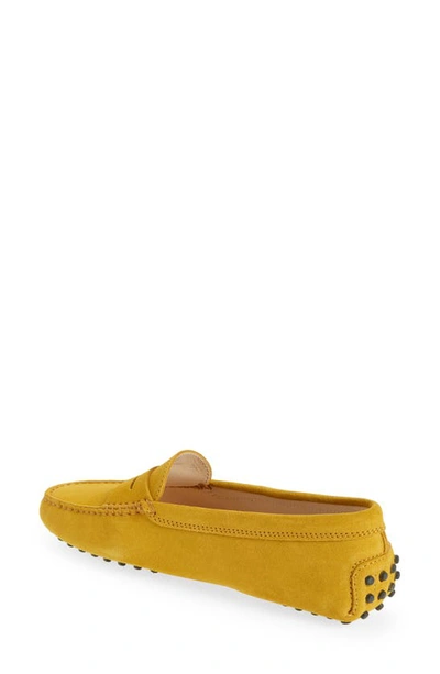 Tod's Gommini Driving Loafer In Altraversione