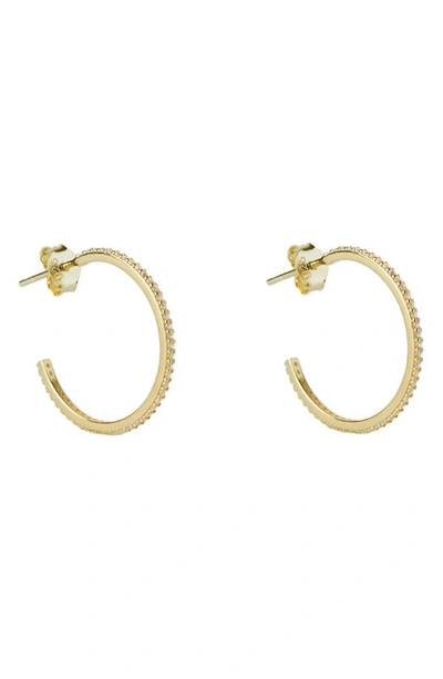 Shop Argento Vivo Sterling Silver Medium Cubic Zirconia Hoop Earrings In Gold