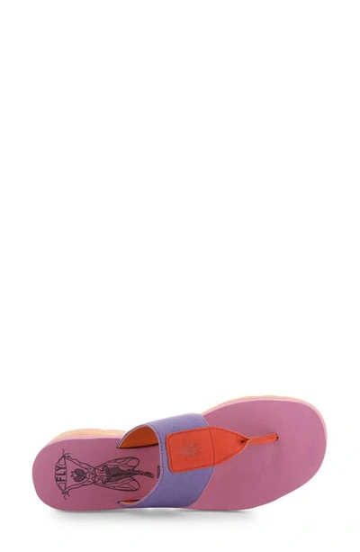 Shop Fly London Yomu Wedge Flip Flop In 008 Red/ Viola Grograin