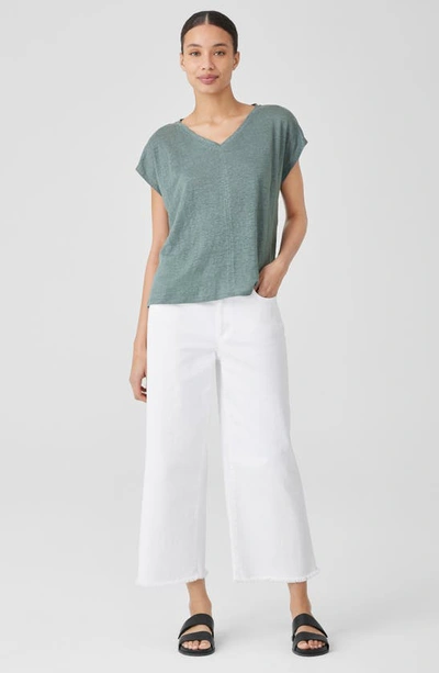 Shop Eileen Fisher V-neck Organic Linen T-shirt In Nile