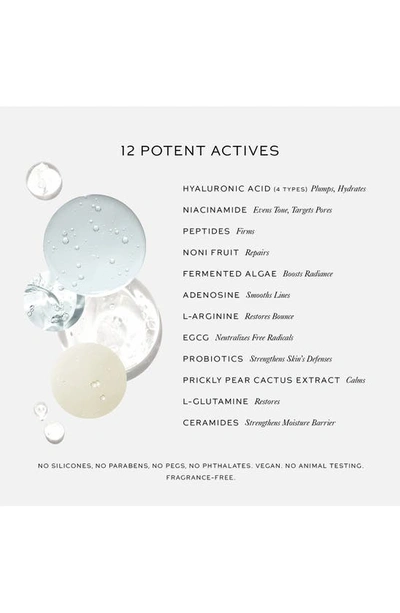 Westman Atelier Skin Activator Serum With Hyaluronic Acid + Niacinamide 0.676 oz / 20 ml In Serum Full Size
