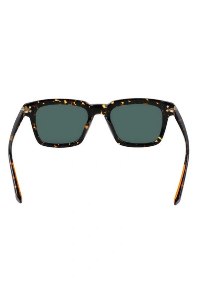 Shop Shinola Monster 54mm Rectangular Sunglasses In Dark Amber Tortoise