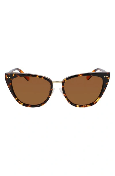 Shop Shinola Runwell 55mm Cat Eye Sunglasses In Dark Amber Tortoise