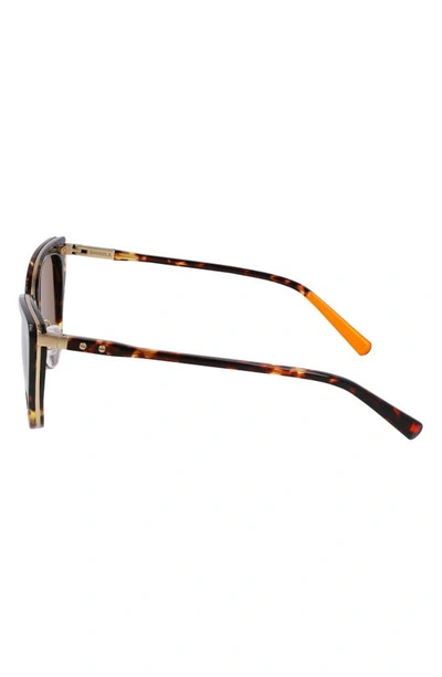 Shop Shinola Runwell 55mm Cat Eye Sunglasses In Dark Amber Tortoise