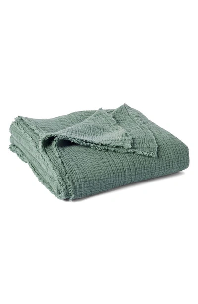 Shop Coyuchi Topanga Organic Cotton Matelassé Blanket In Juniper