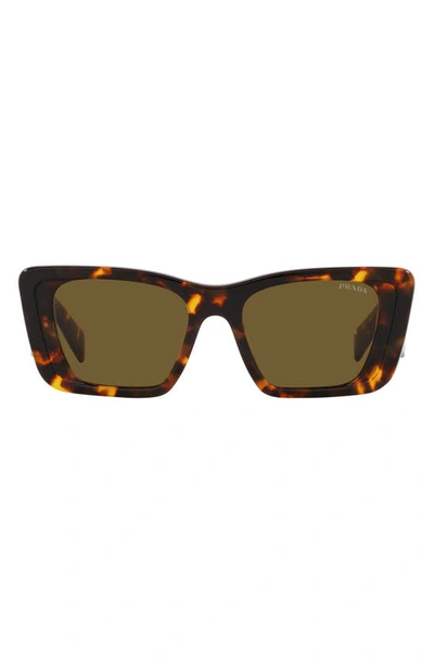 Shop Prada 51mm Butterfly Sunglasses In Dark Brown