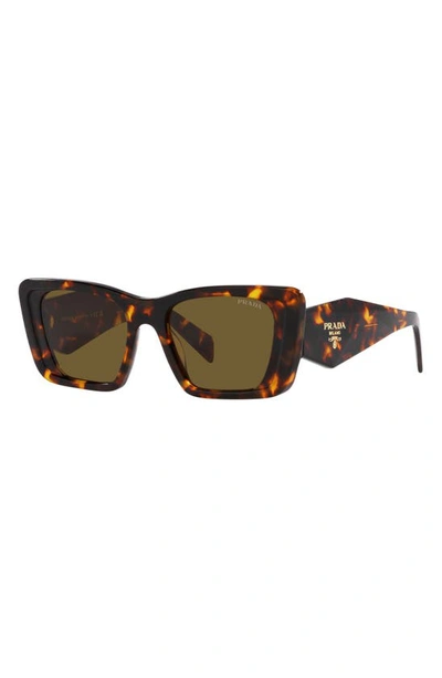 Shop Prada 51mm Butterfly Sunglasses In Dark Brown