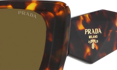 Shop Prada 51mm Butterfly Sunglasses In Dark Brown