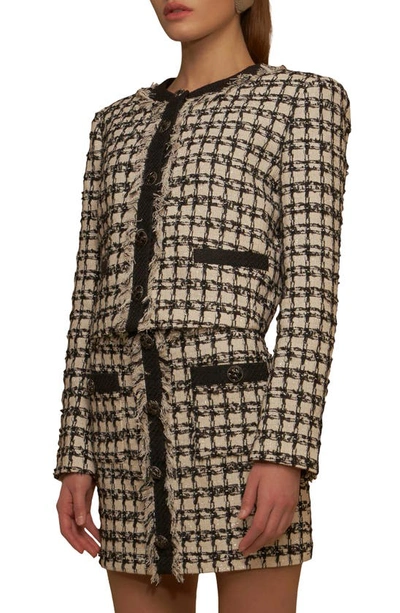 Shop Endless Rose Premium Fringe Metallic Tweed Crop Jacket In Black/ White