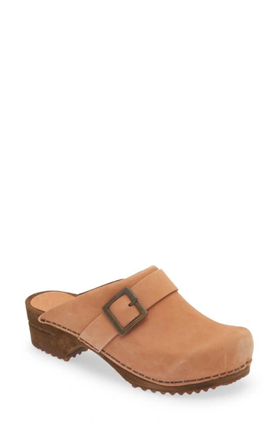 Shop Sanita Platform Clog In Salmon