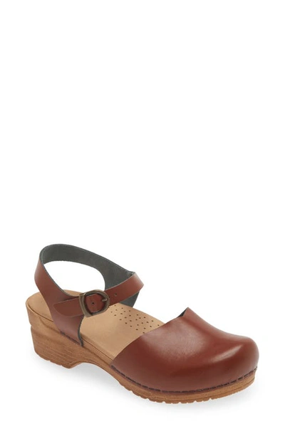 Shop Sanita Sansi Clog In Chestnut