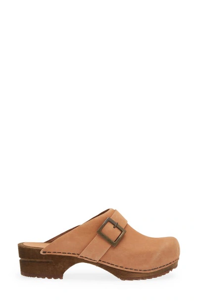 Shop Sanita Platform Clog In Salmon