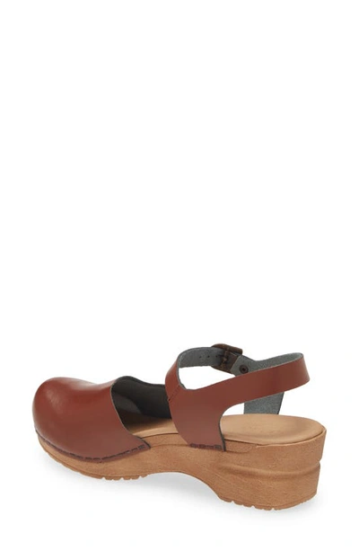 Shop Sanita Sansi Clog In Chestnut