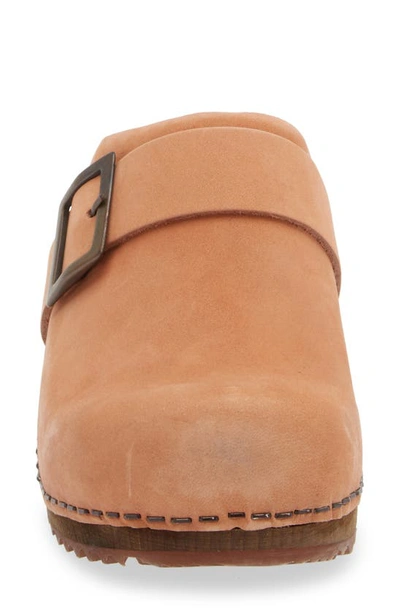 Shop Sanita Platform Clog In Salmon