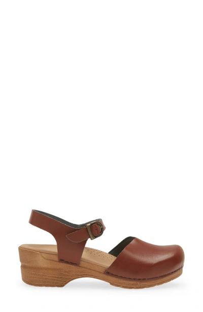 Shop Sanita Sansi Clog In Chestnut