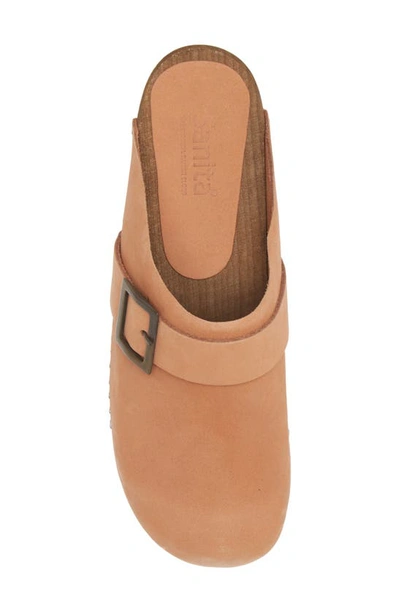 Shop Sanita Platform Clog In Salmon