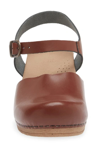 Shop Sanita Sansi Clog In Chestnut